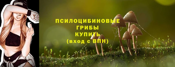 твердый Баксан