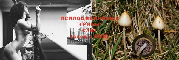 герыч Балахна